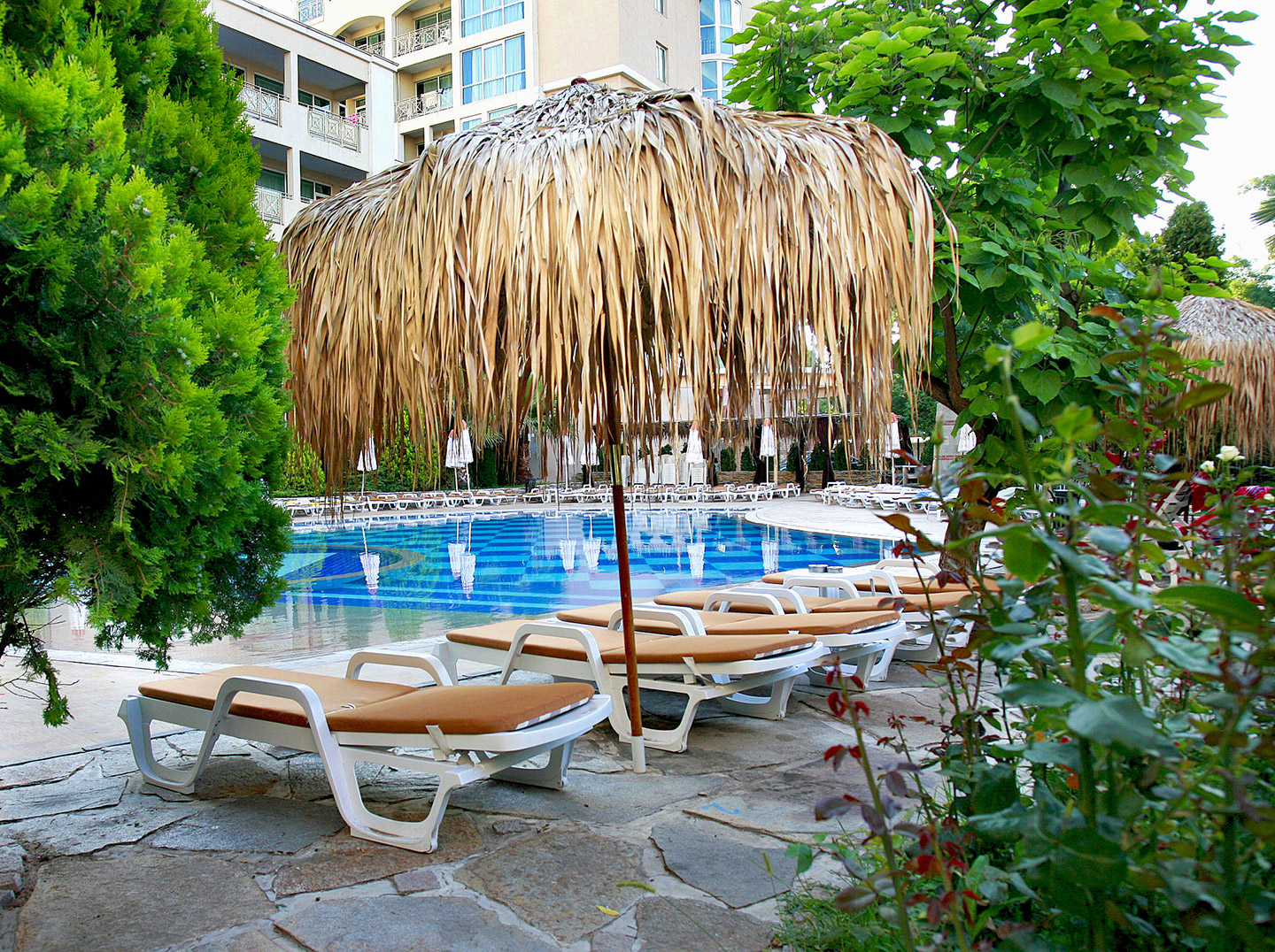 Hotel Alba - Pool Bar